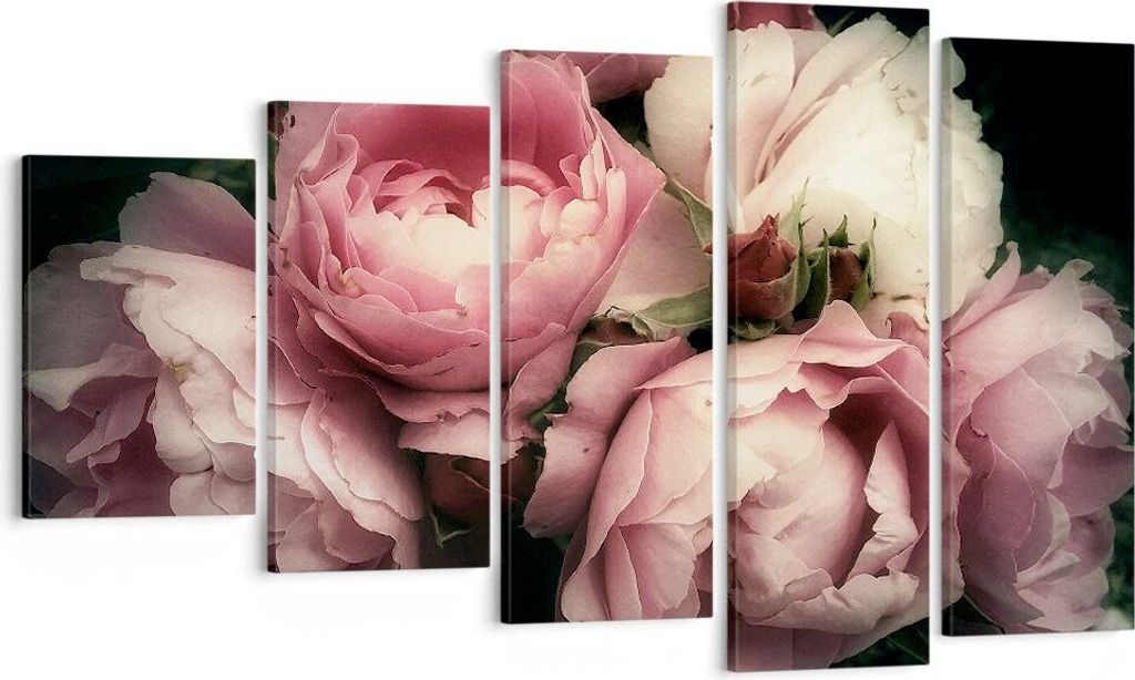 Bild auf Leinwand - Leinwandbild - Pfingstrose Blume - Produktbild 