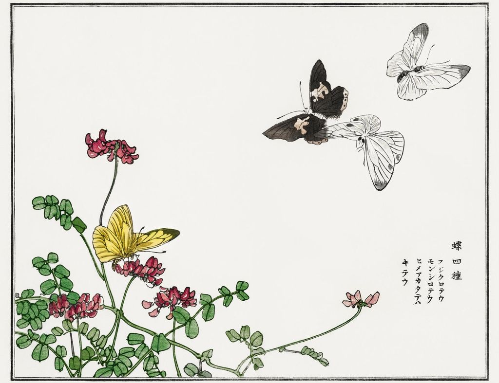 Plakat 65x50cm Schmetterlinge und Blumen Morimoto Toko Japanisch Vintage für das Wohnzimmer