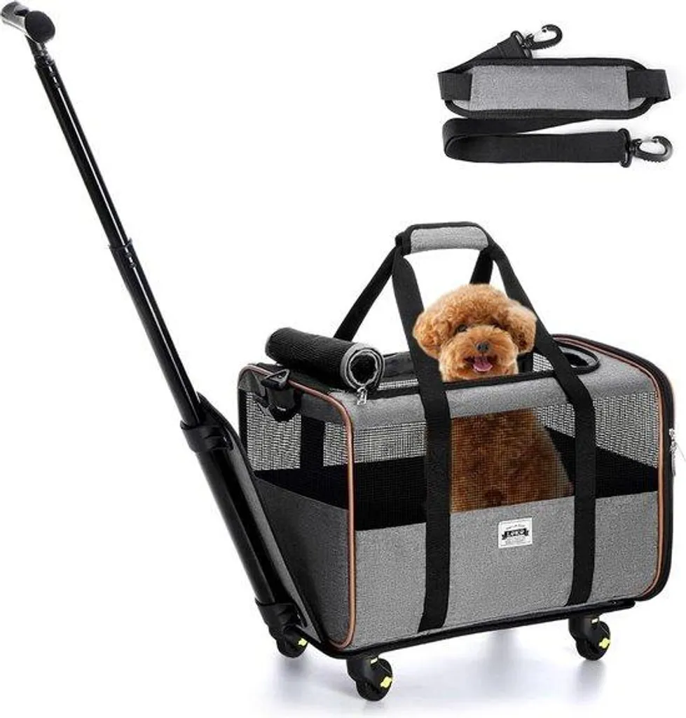 Caisse de transport 2-en-1 pour petit chien en plastique résistant