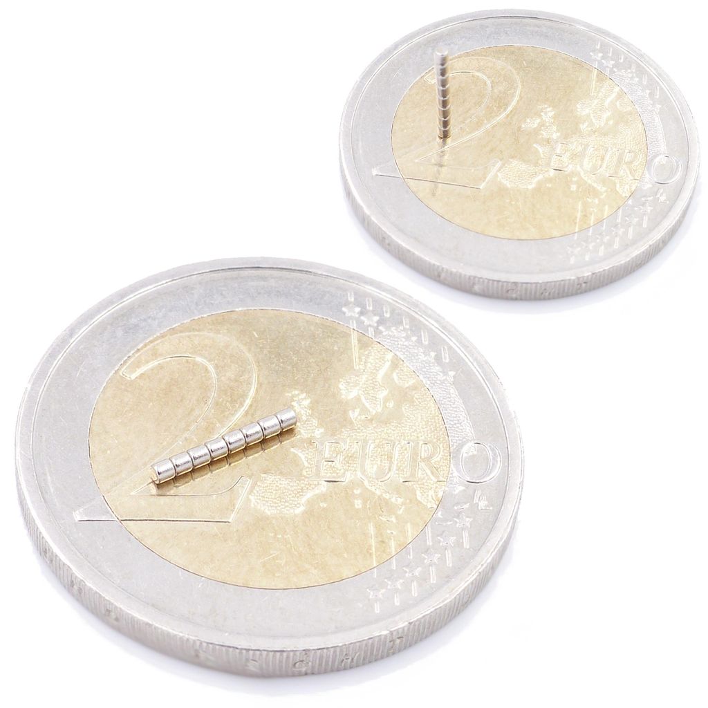Brudazon | 50 Scheibenmagnete 1x1 mm | N52 Klasse Neodym Magnete | Modellbau
