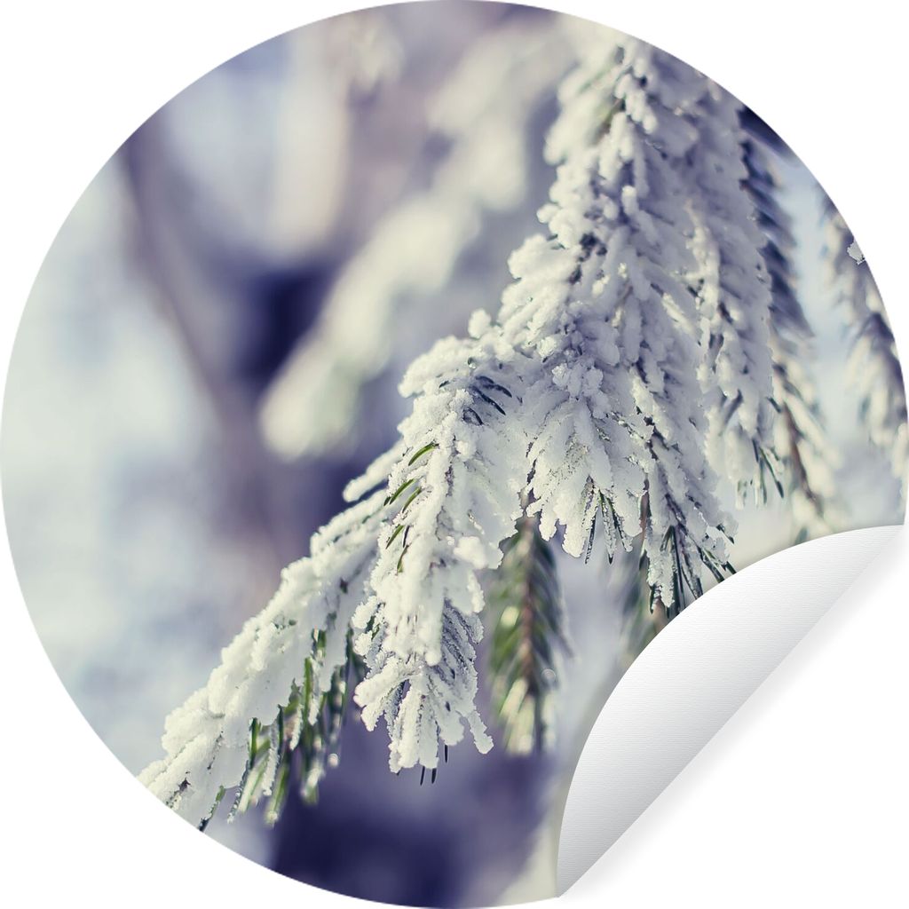 MuchoWow Runde Wandtattoo - Wandsticker Tapete Aufkleber Winter - Tannenbaum - Schnee - Ländlich Ø 100 cm Selbstklebend und Repositionierbar - ...