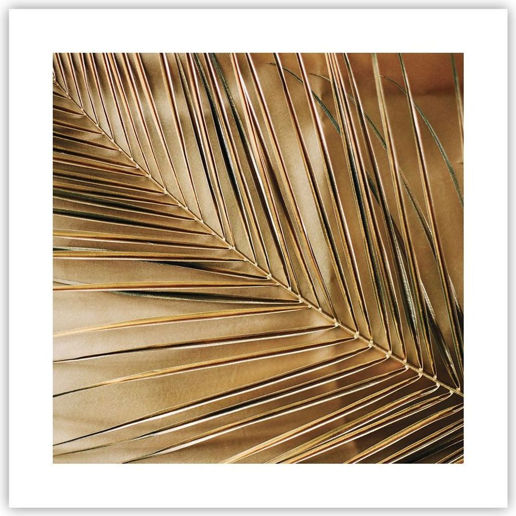 Poster - Poster ohne Rahmen - Blatt Gold Pflanze - 40x40 cm Produktbild 