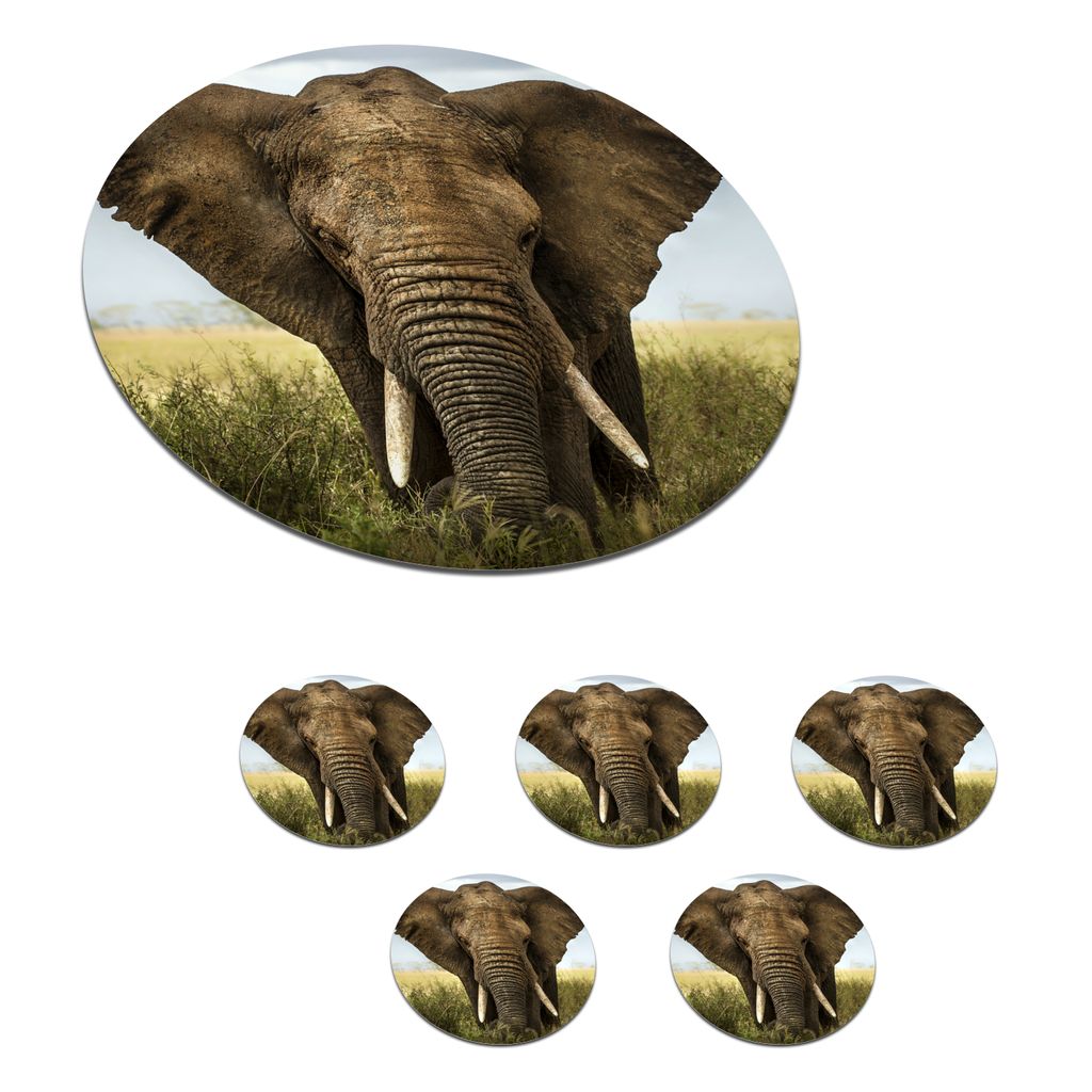 KitchenYeah Glasuntersetzer Rund 6er Set Elefant - Natur - Gras - Tiere - Landschaft 10x10 cm Untersetzer für Gläser - Getränkeuntersetzer - T...