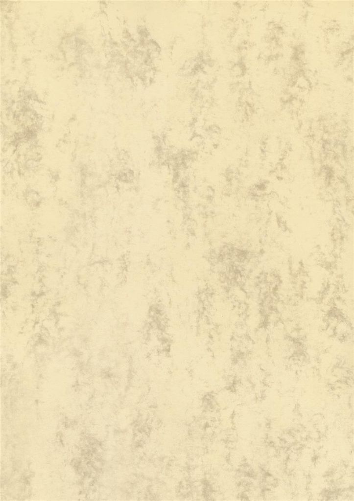 BRUNNEN 105141211 Papier wielofunkcyjny Papier uniwersalny Zdjęcie produktu 