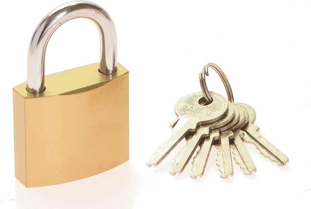 Plus de clés perdues avec ce lot de 9 cadenas identiques et 54 clés acier