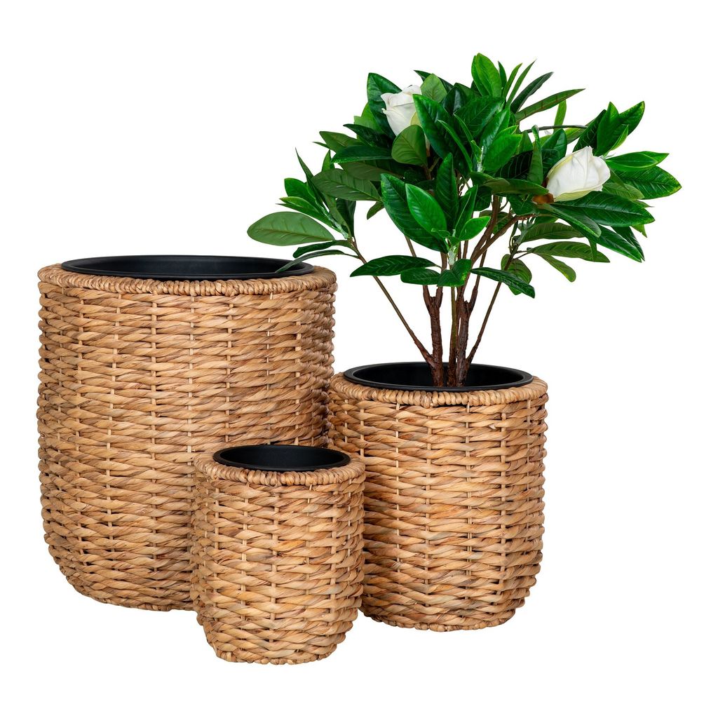 Set di 3 ripari per piante Hanoi, natura da esterno. Immagine del prodotto 
