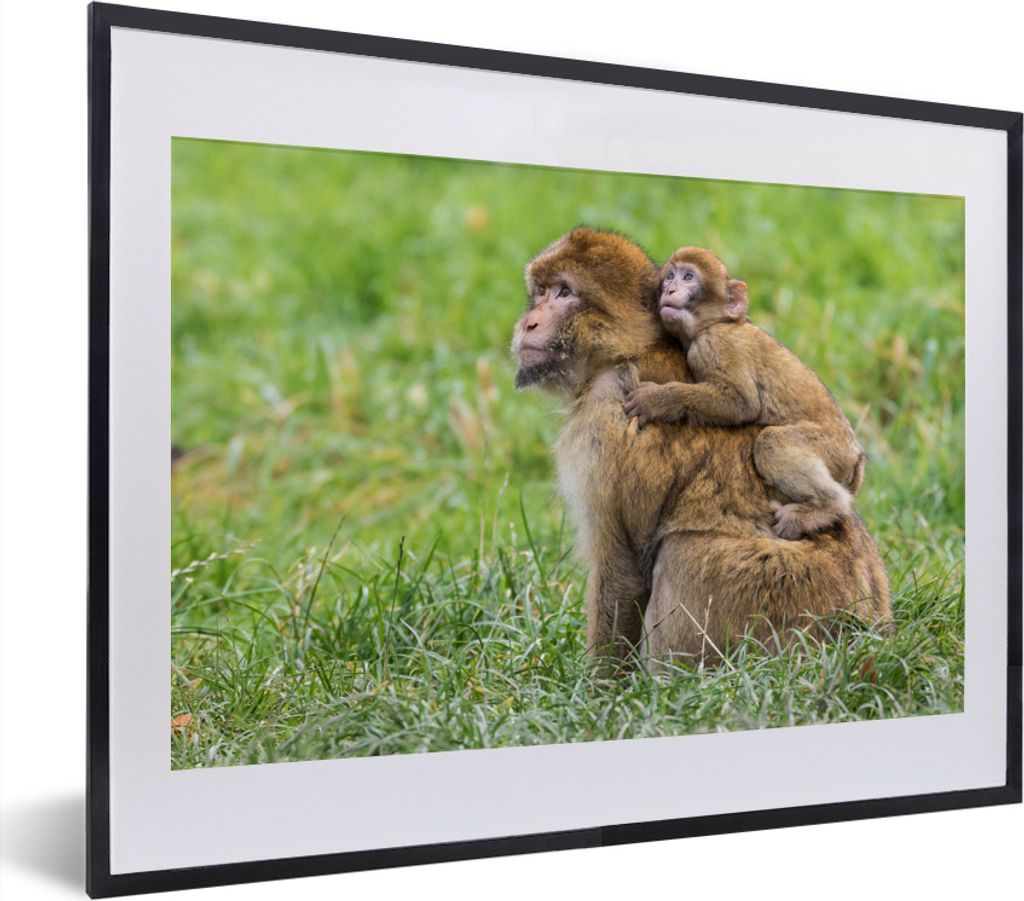 MuchoWow MuchoWow Gerahmtes Poster Affe - Baby - Gras 40x30 cm - Poster mit zchwarzem Bilderrahmen - Bilderrahmen - Poster im Rahmen