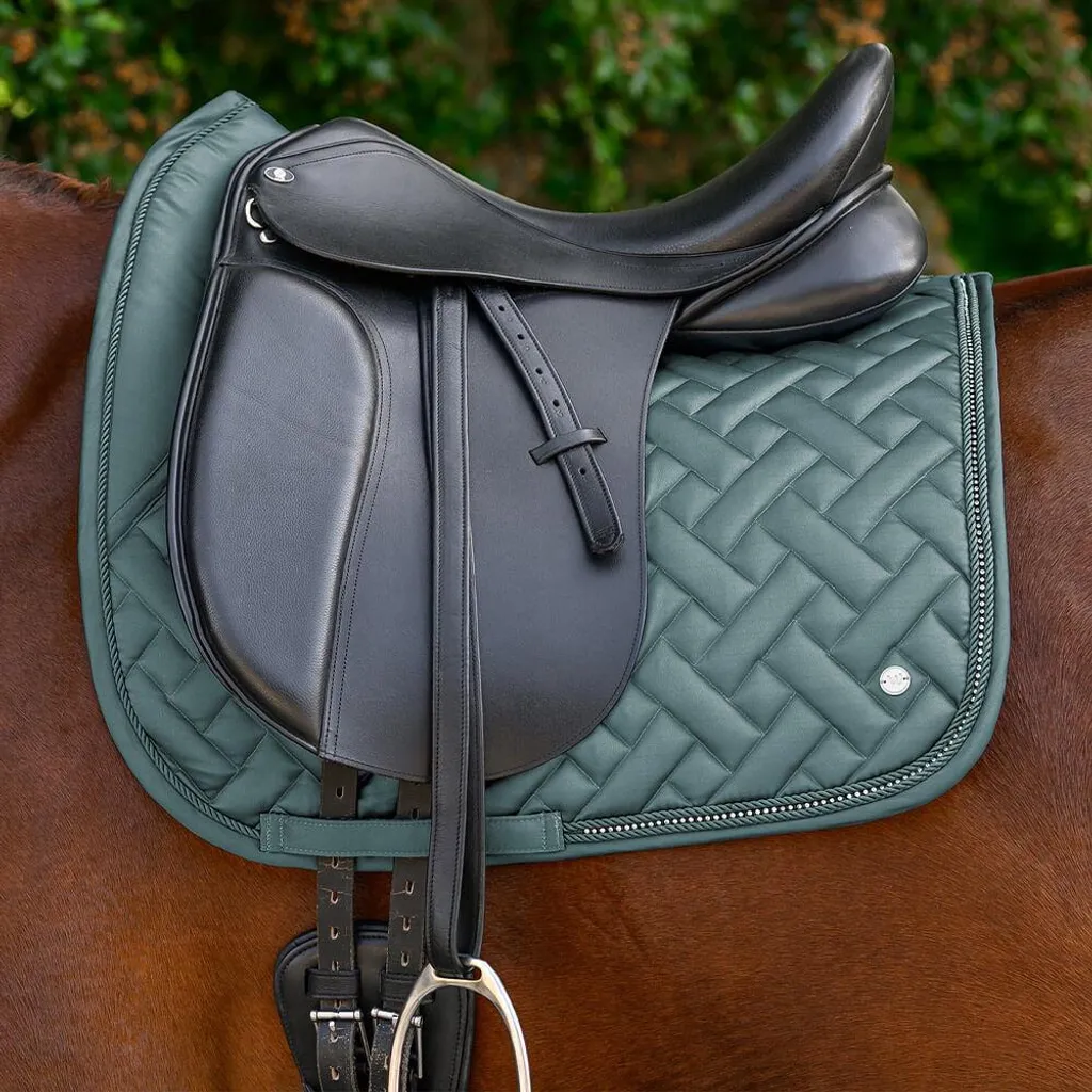 Chabraque de selle Waldhausen Turin mixte avec matelassage de haute qualité