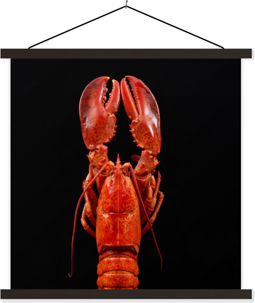 MuchoWow Textilposter Krebs - Rot - Porträt 90x90 cm mit schwarzem Rahmen - Magnetisches