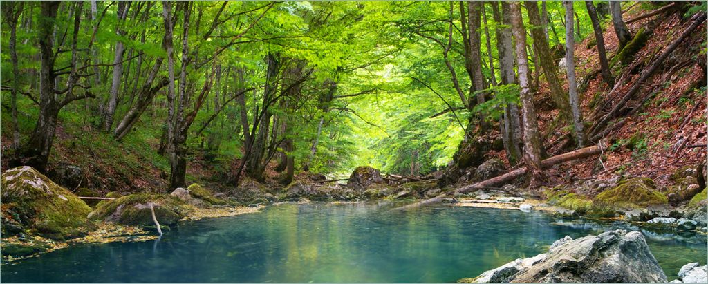 Wallario selbstklebendes Poster - Klarer See im Wald, Größe: 50 x 125 cm