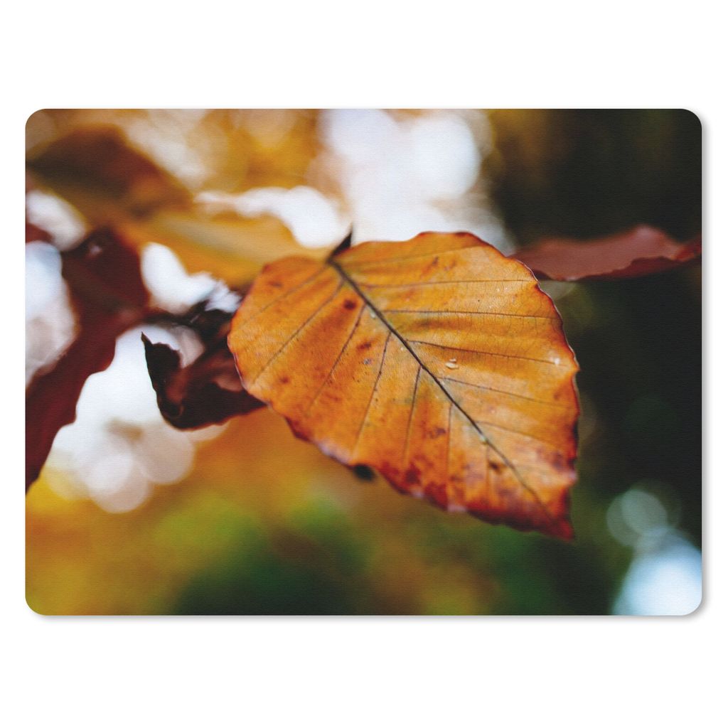 MuchoWow Mauspad Mousepad Buche - Herbst - Laub 40x30 cm - Mousepads - Maus Mat - Pad - Mausunterlage - Anti Rutsch