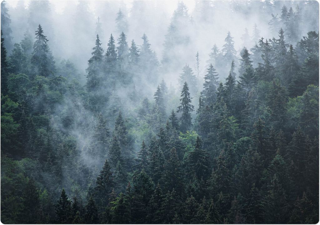 Nebliger Nadelwald – Bodenschutzmatte – Rutschfest – Schutzmatte für Büro – Vinylmatte – Stuhlunterlage – 100 x 100 cm