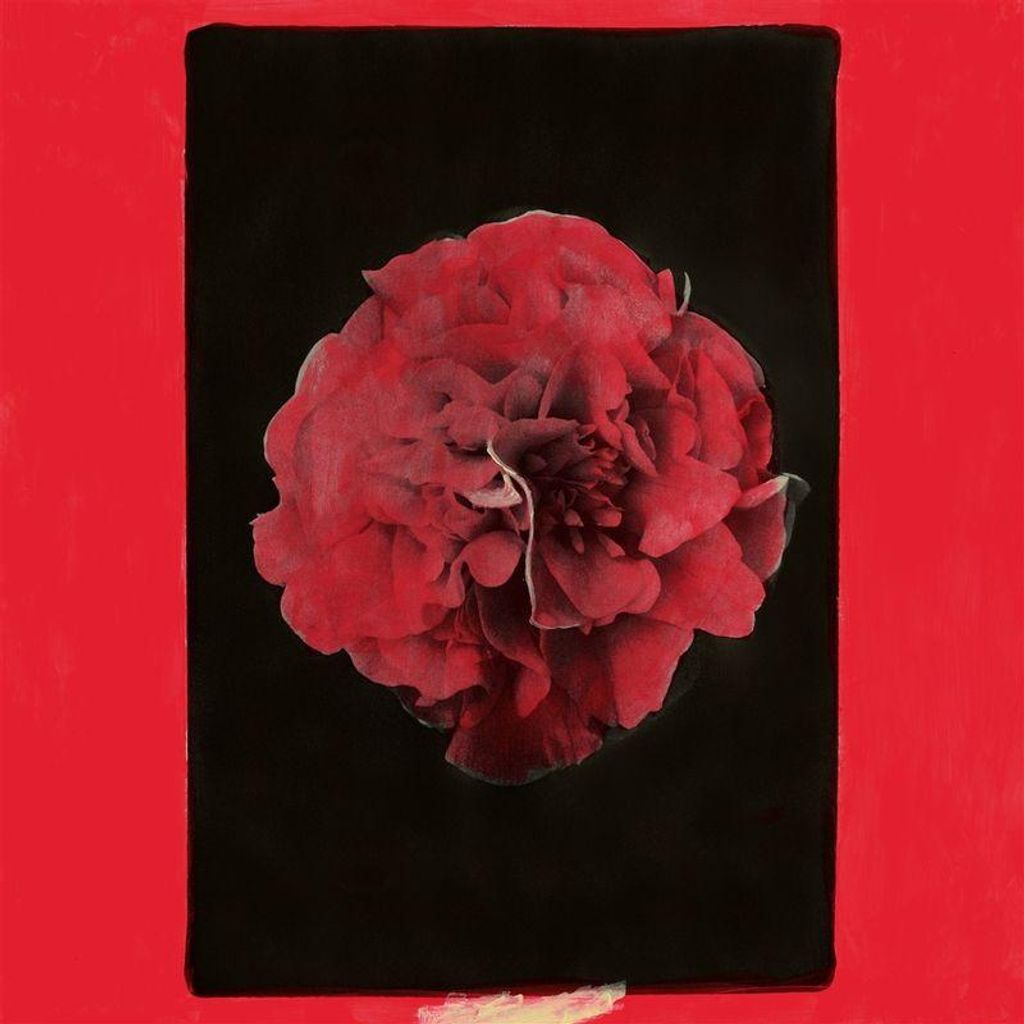 Activity: A Thousand Years In Another Way