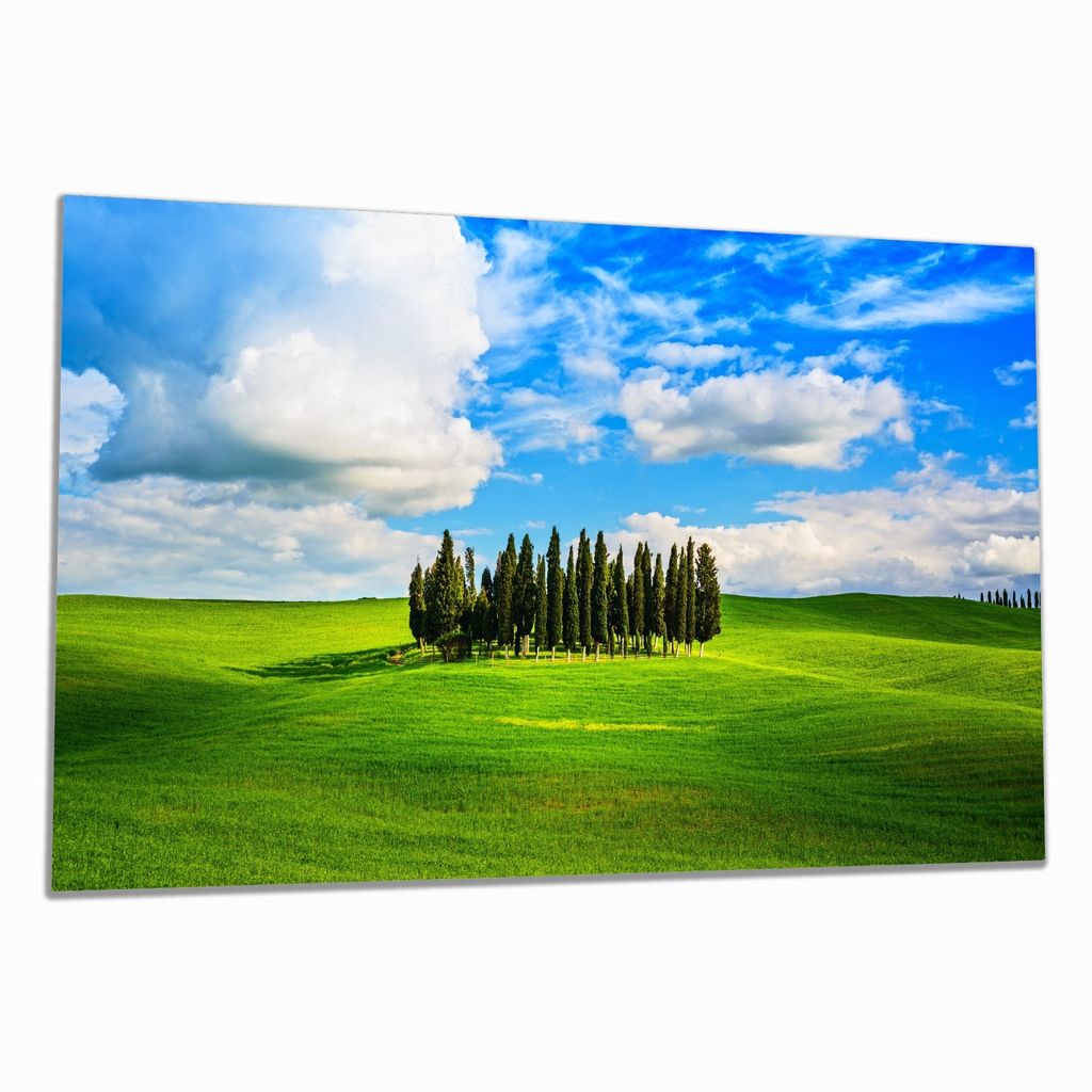 Wallario Herdabdeckplatte aus Glas, Größe 80 x 52 cm 1-teilig, Motiv Kleiner Wald inmitten einer weiten Wiese