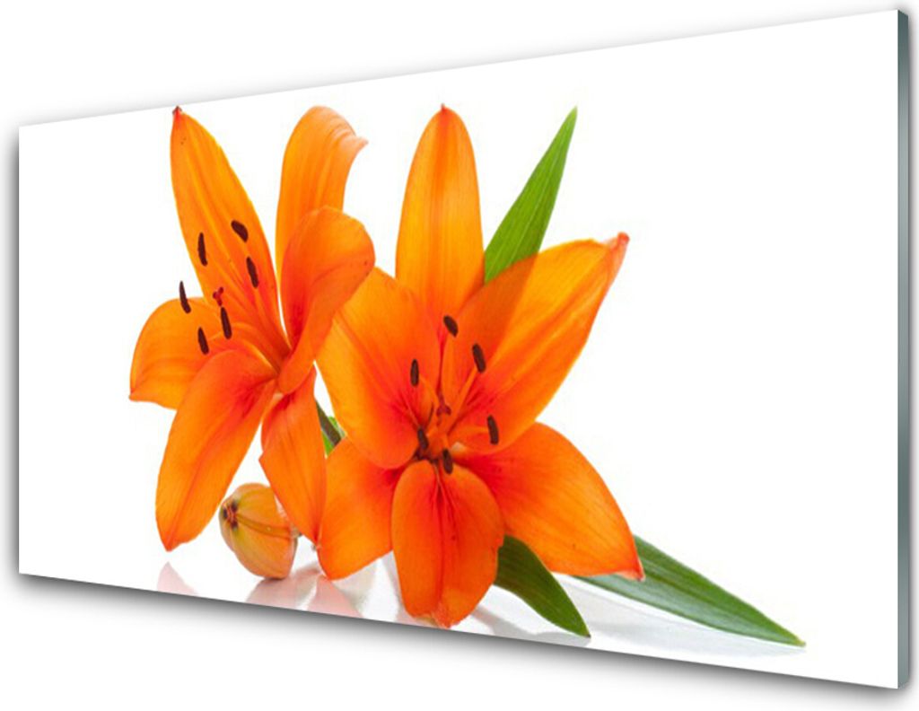 Küchenrückwand aus Glas 100x50cm Spritzschutz Blumen Pflanzen