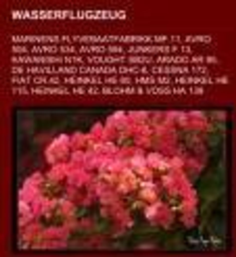 Wasserflugzeug