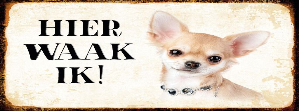 vianmo Blechschild 10x27 cm holländisch Hier Waak ik Chihuahua mit Kette