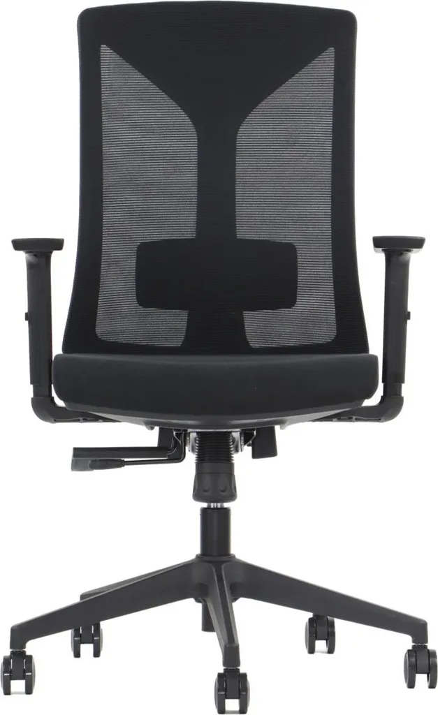 Chaise de bureau HAGER : finissez-en avec le mal de dos, dossier mesh