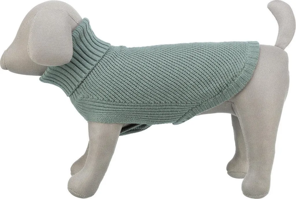 CityStyle Berlino Maglione Salvia: Outfit Pet di Tendenza 2026 - 3