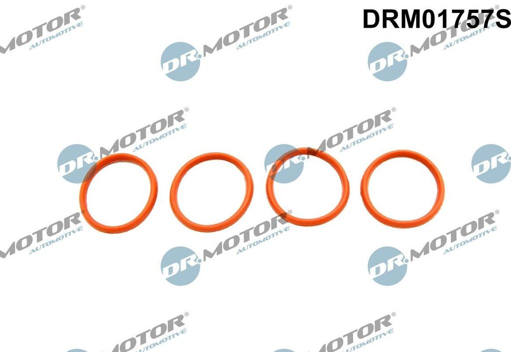DR.MOTOR AUTOMOTIVE DRM01757S Dichtungssatz Ansaugkrümmer für FIAT QUBO (225) FIORINO Kasten/Kombi (225) Fiorino MPV (225) passend für PEUGEOT 207
