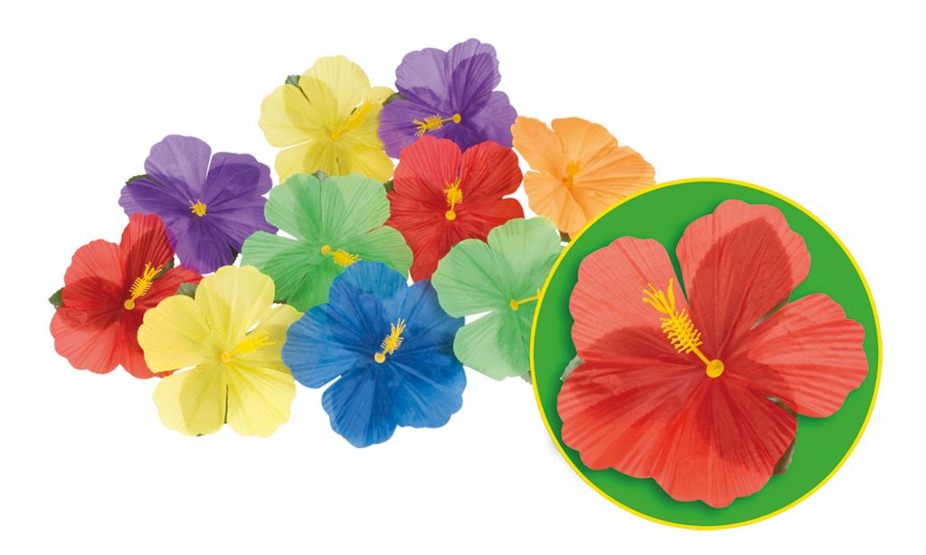 Hawaiiische Hibiscus Blüten 24 Stück Produktbild 