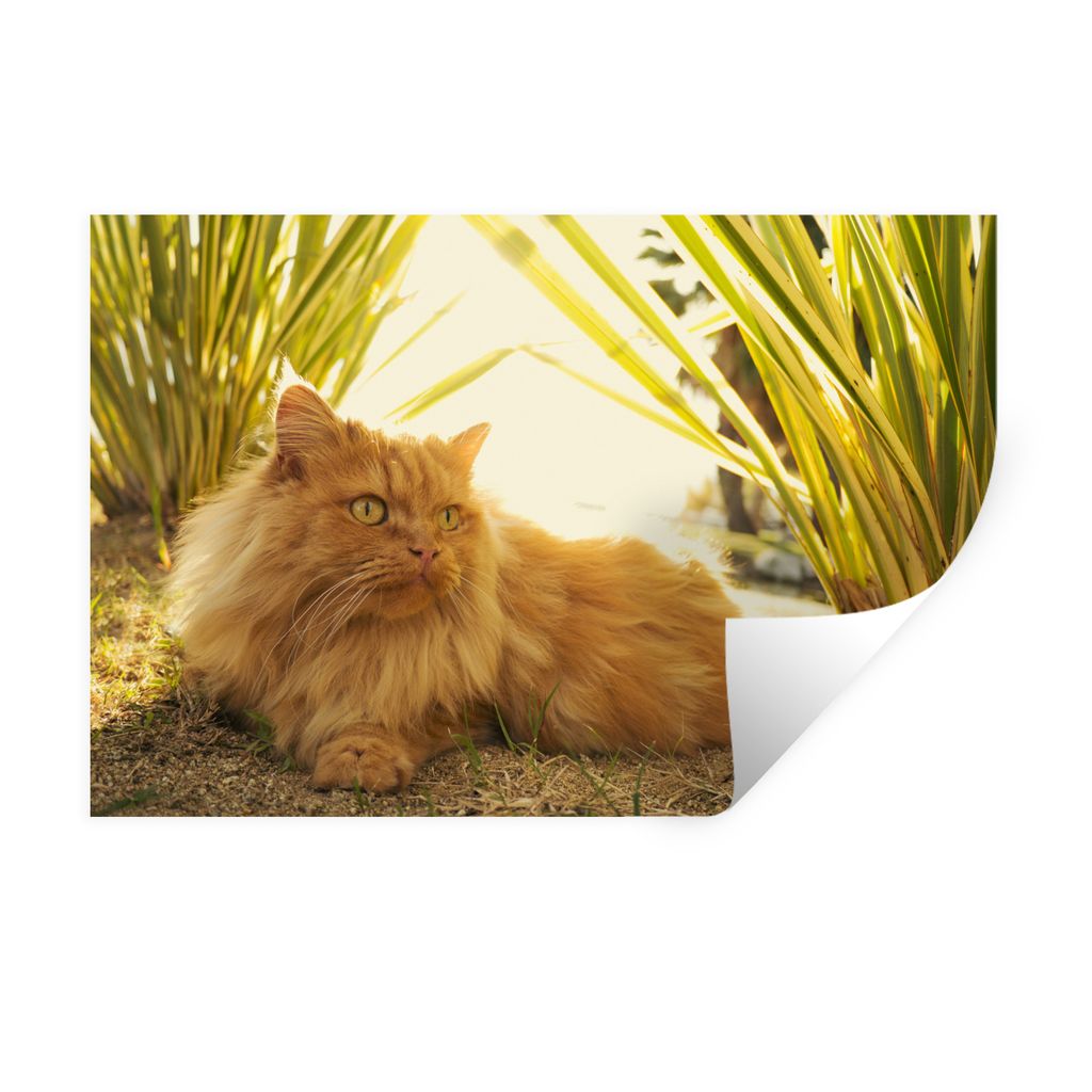 MuchoWow Wandtattoo Wandsticker Wandaufkleber Perserkatze inmitten der Pflanzen 30x20 cm Selbstklebend und Repositionierbar - Wierderverwendbar -...