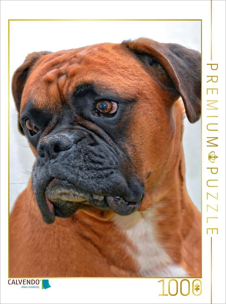 CALVENDO Puzzle Deutscher Boxer 1000 Teile Puzzle hoch | 1000 Teile Lege-Größe 64x48cm Foto-Puzzle für glückliche Stunden