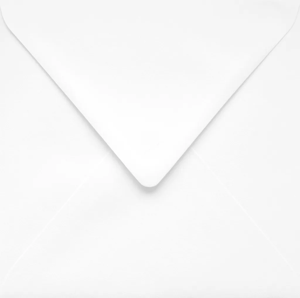 Lot de 1000 Enveloppes UMSCHLAG 156mm en Carton Blanc Très Résistant