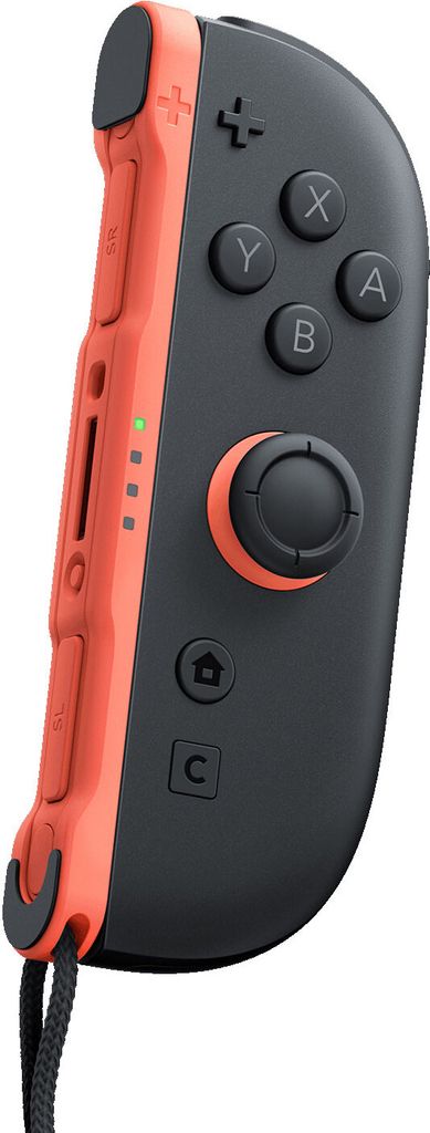 Nintendo-Gamepad 10015101
