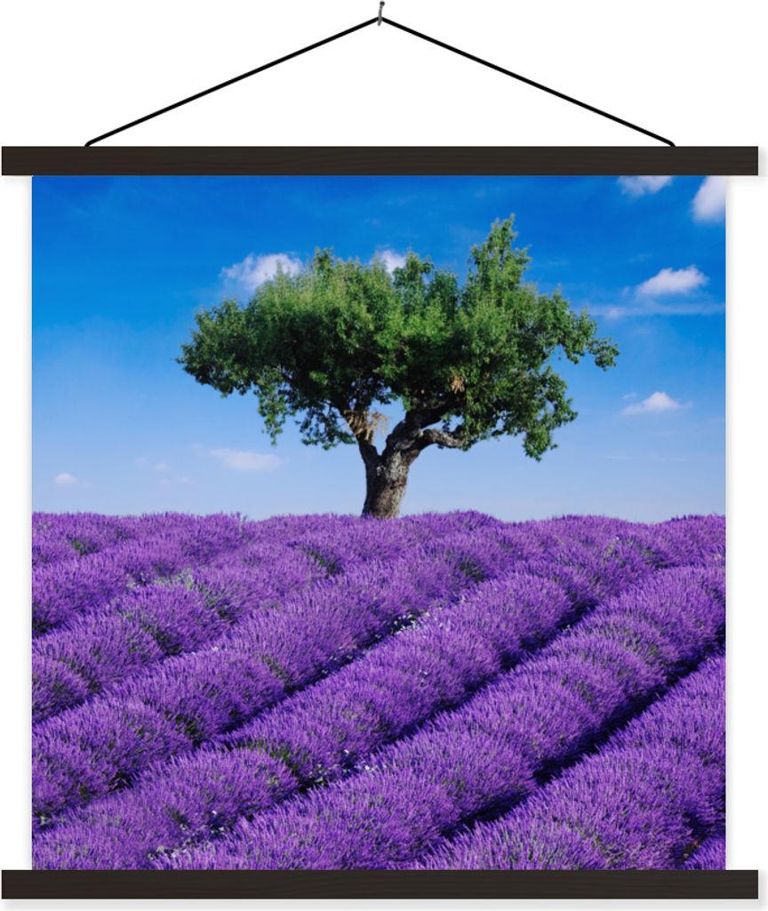MuchoWow Textilposter Eine Nahaufnahme eines Lavendelfeldes 40x40 cm mit schwarzem Rahmen - Fotos