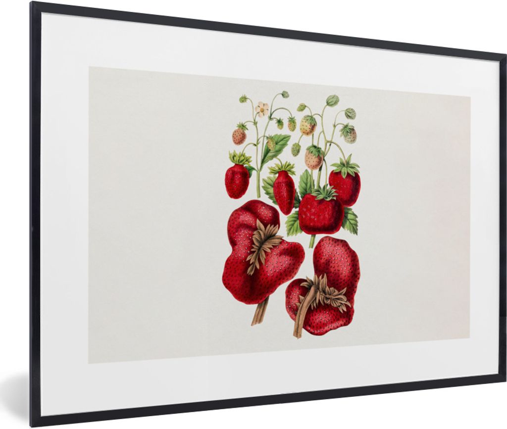 MuchoWow Gerahmtes Poster Erdbeeren - Obst - Pflanze 30x20 cm - Poster mit Schwarzem Bilderrahmen Wandposter Rahmen Foto Bilder - Kunstdruck - Bi...