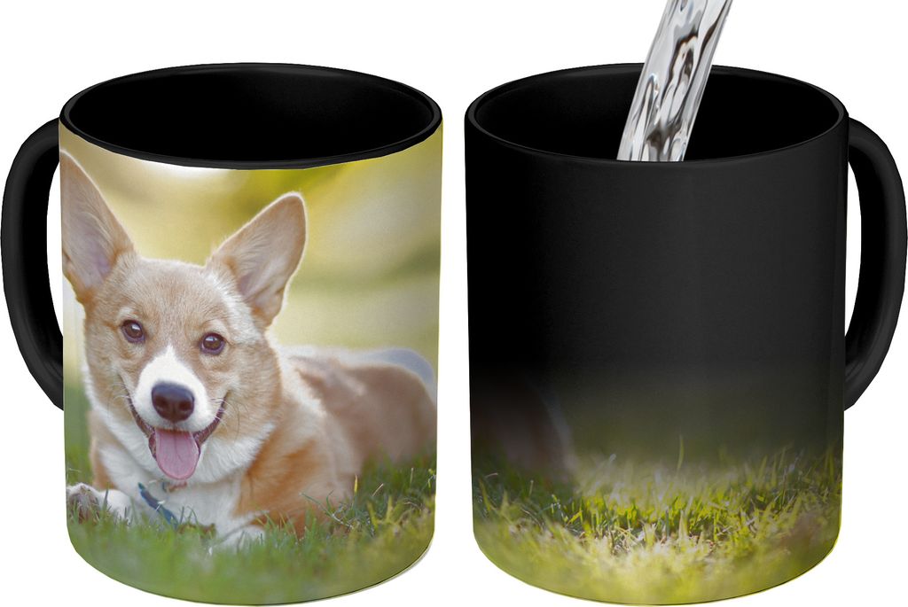 MuchoWow Zauber Tasse Zaubertasse Magic Welsh Corgi Welpe 350 ml Farbwechsel Becher Geschenk Geschenkidee - Magic-Tasse - Fototasse - Keramiktass...