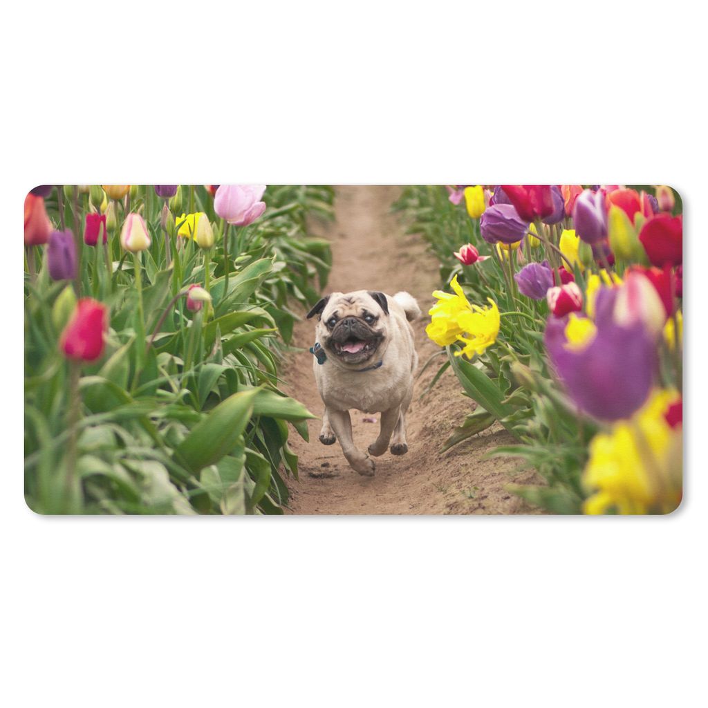 MuchoWow Mauspad Mousepad Mops - Tulpen - Blumen 60x30 cm - Mousepads - Maus Mat - Pad - Mausunterlage - Nachhaltig