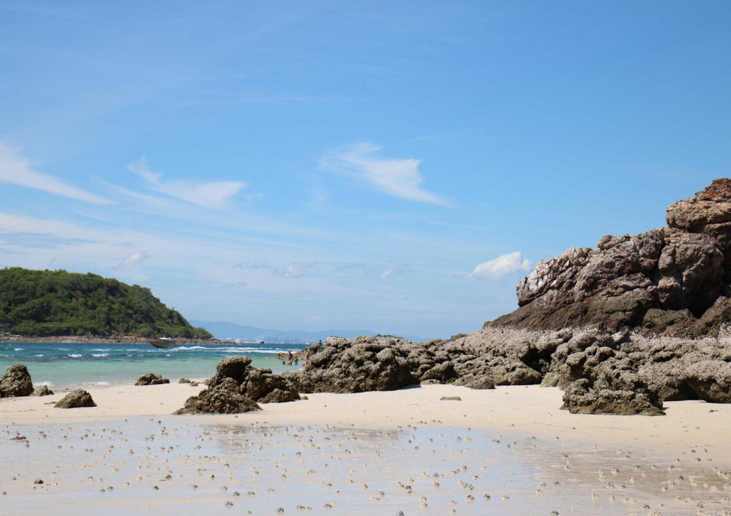 hansepuzzle 24803 - Felsige Küste Puzzle, 260 Teile, Reisen, 41,0 x 28,0cm mit hochwertiger Aufbewahrung, Kartonbox und wiederverschließbarem Beutel