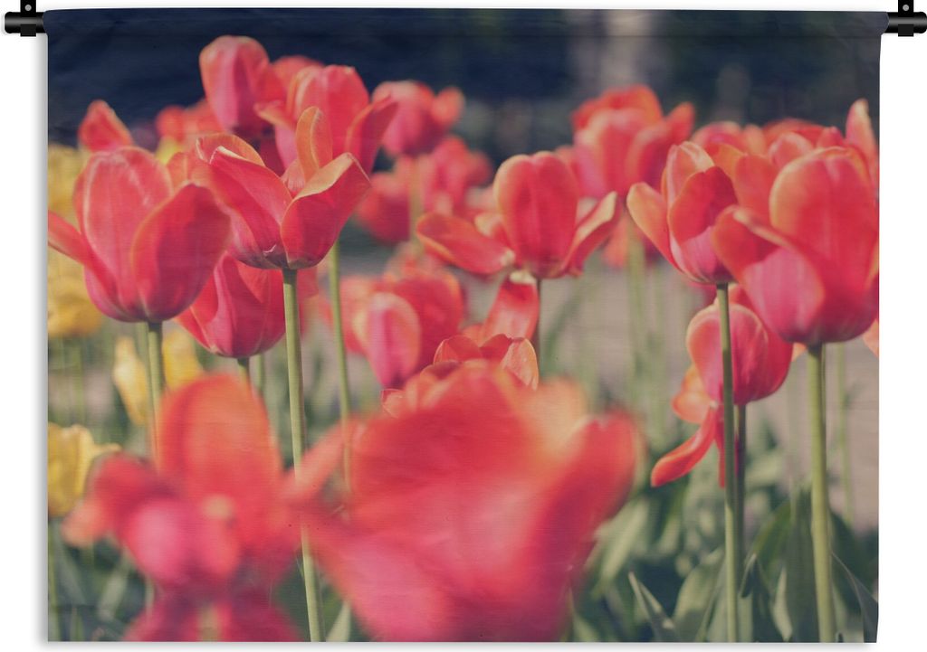 MuchoWow Wandteppich Wandbehang Tulpen - Blumen - Natur 90x67.5 cm Tapisserie Dekoration Wandtuch - Fototeppich - Wand-Skulpturen