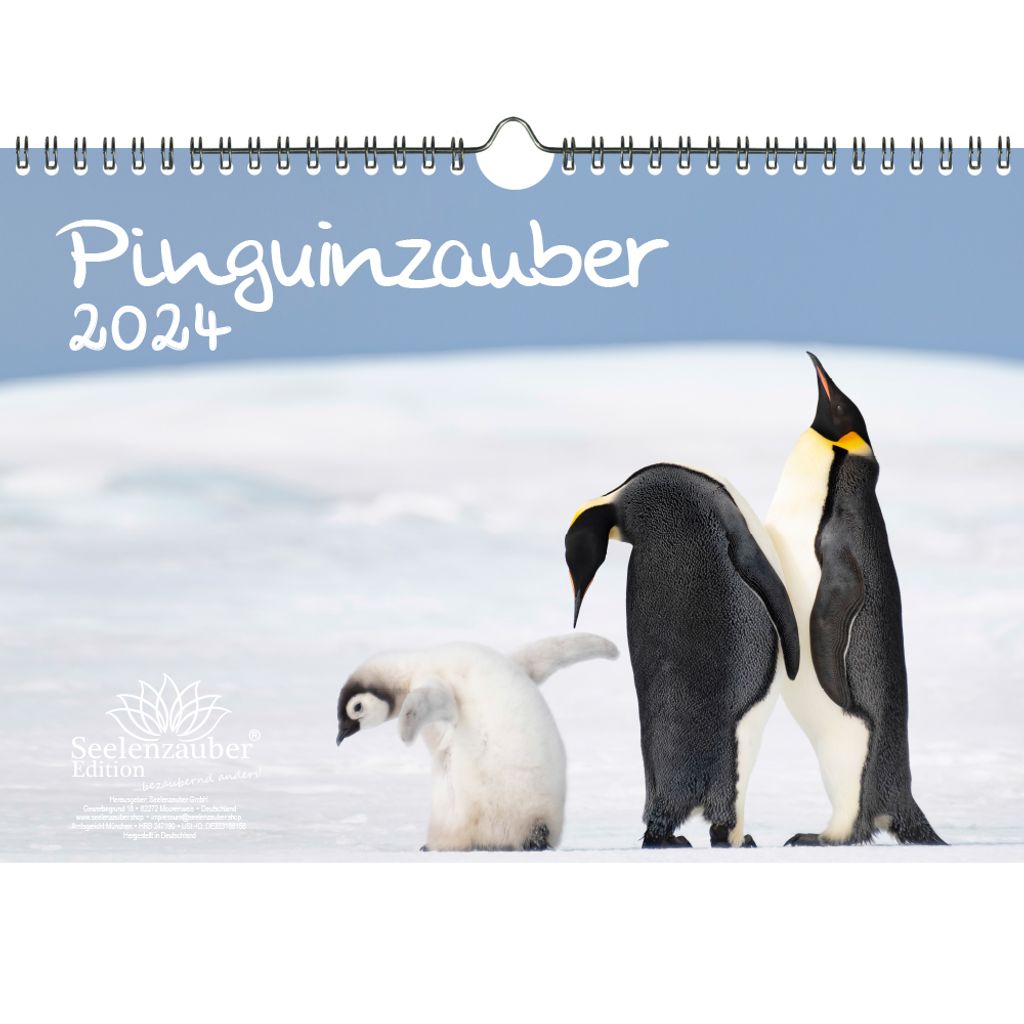 Pinguinzauber DIN A4 Kalender für 2024  Kaufland.de