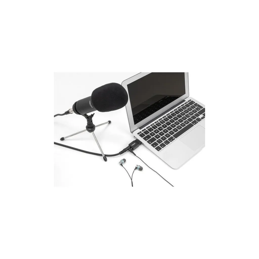 Carte Son USB Delock Plug & Play avec Sortie Audio et Entrée Micro - 3