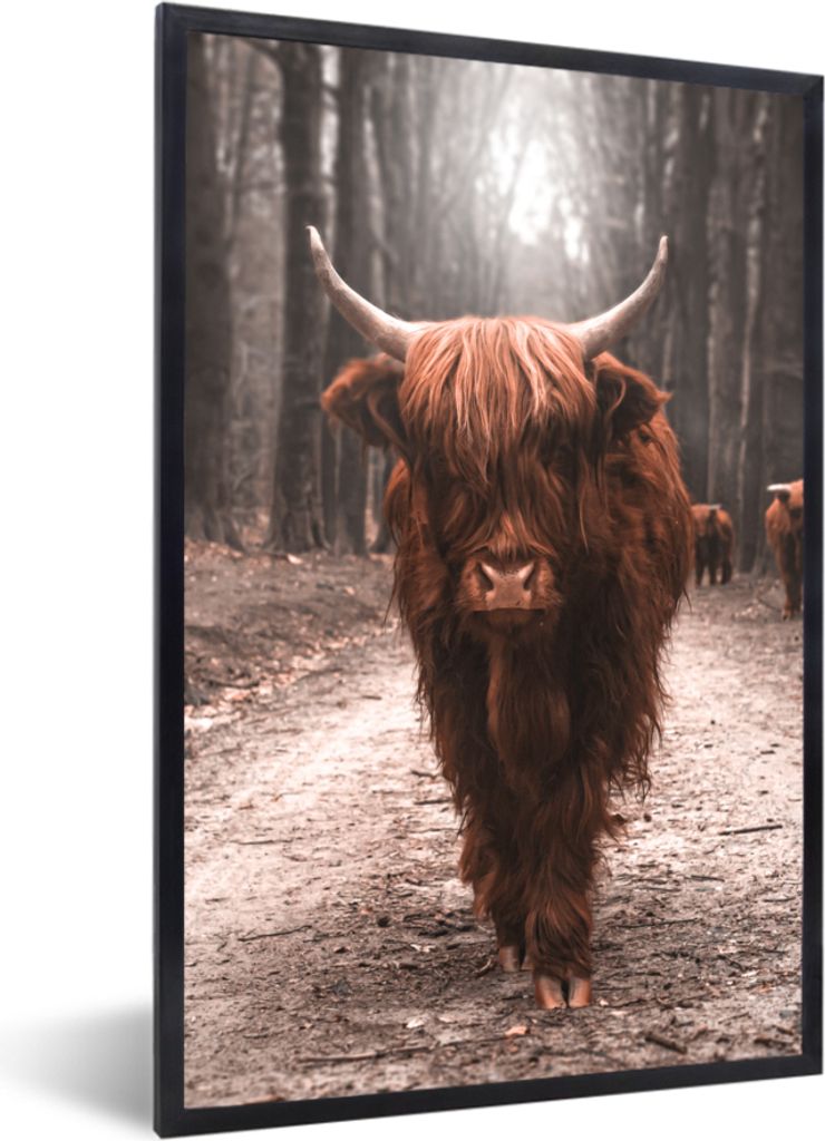 MuchoWow MuchoWow Gerahmtes Poster Schottisches Hochlandrind - Tier - Nahaufnahme 20x30 cm - Poster mit zchwarzem Bilderrahmen - Drucken - Bild...