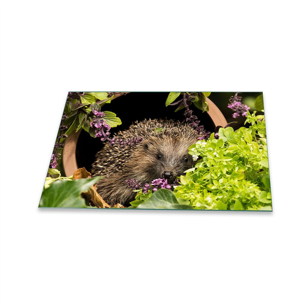 Herdabdeckplatte Glaskeramik 1 Teilig 80x52 Tiere Grau Abdeckung Glas Spritzschutz