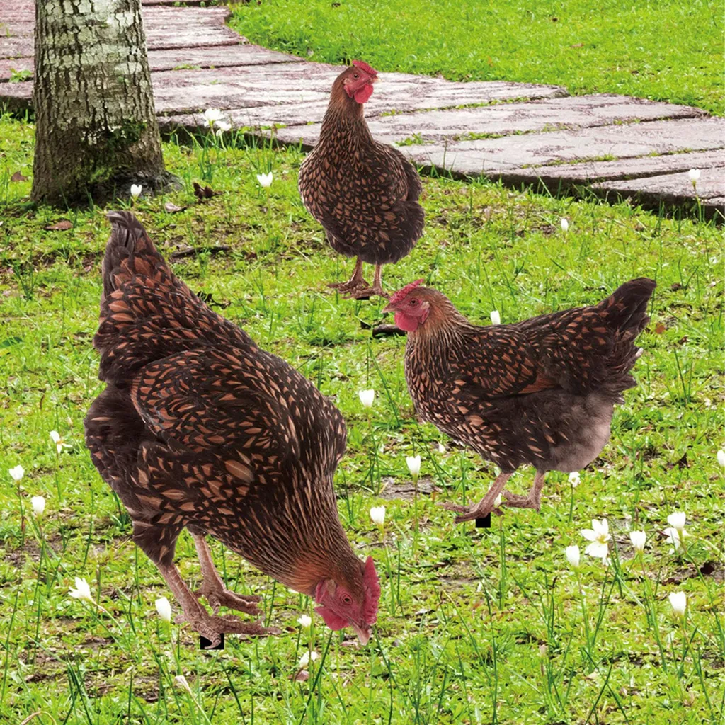 Décoration de Jardin Coq et Poule en Acrylique pour Pelouse et Extérieur 3pcs - 3
