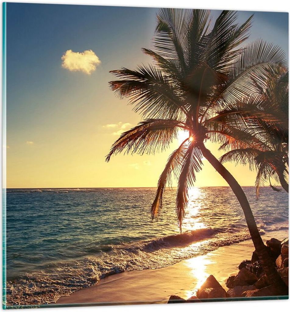 Bilder auf glas - Wolke exotischer Palm- Landschaft - 60x60cm - Glasbilder - Wandbilder - Kunstdruck - zum Aufhängen bereit - Wanddekoration aus G...