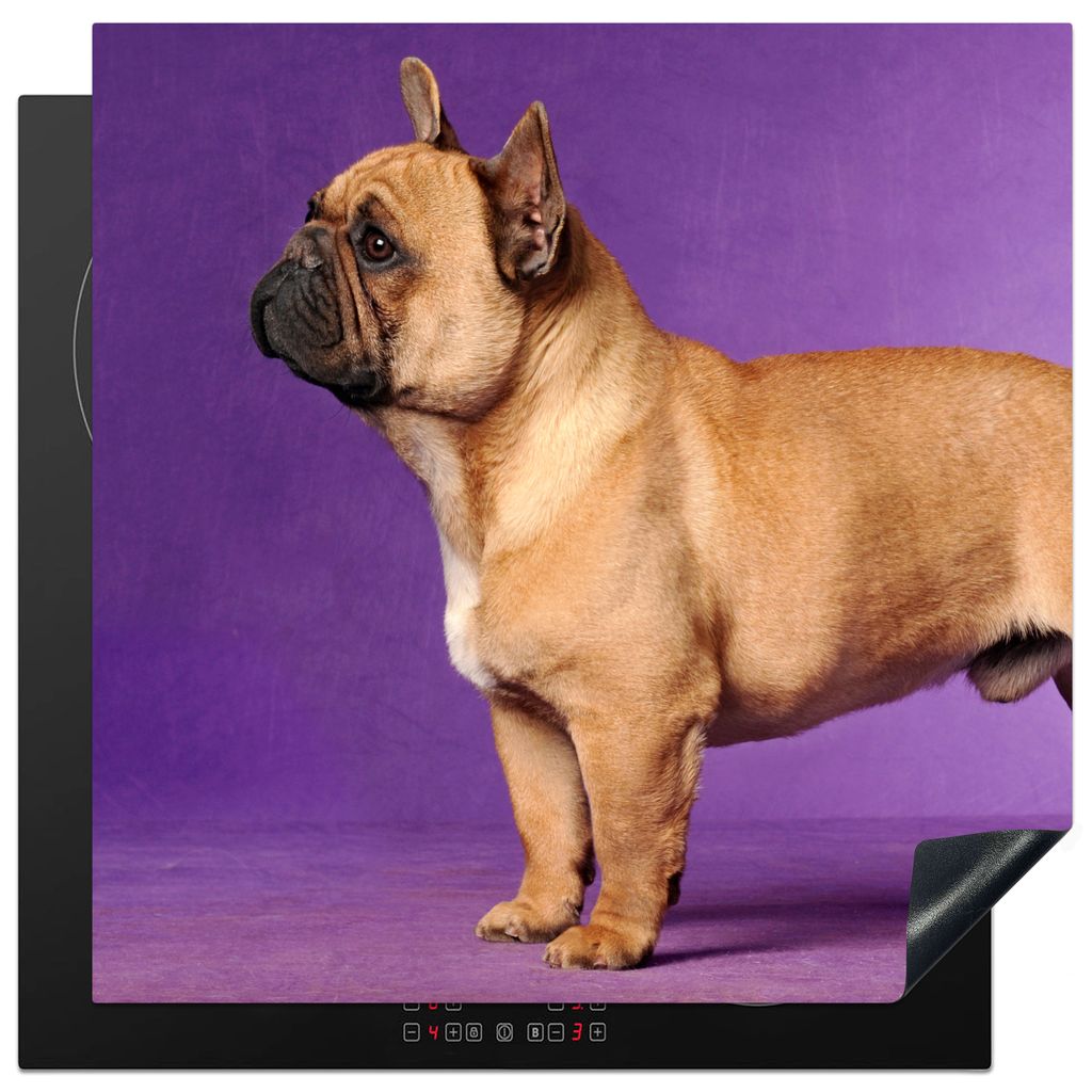 KitchenYeah Herdabdeckplatte Französische Bulldogge - Braun - Lila , 78x78cm, Küche Deko, Glaskeramikkochfeld Herdabdeckung, Abdeckplatte fùr ...