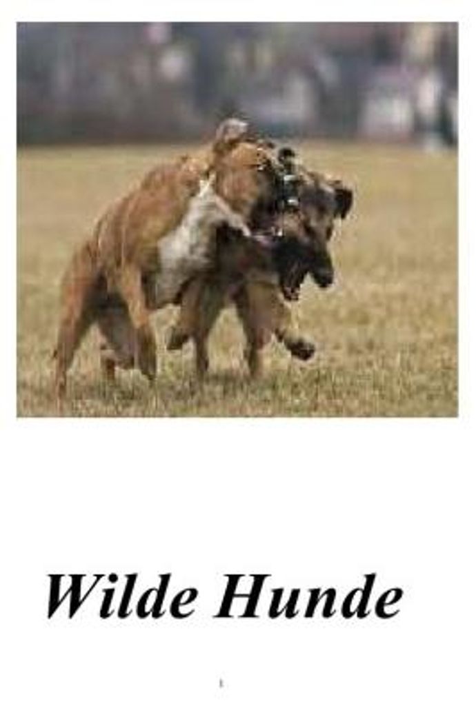 Wilde Hunde