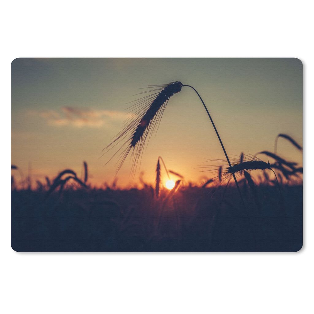 MuchoWow Schreibtischunterlage Gras - Herbst - Sonnenuntergang - Jahreszeiten - Landschaft 60x40 cm - XXL Mauspad - Großes Mauspad