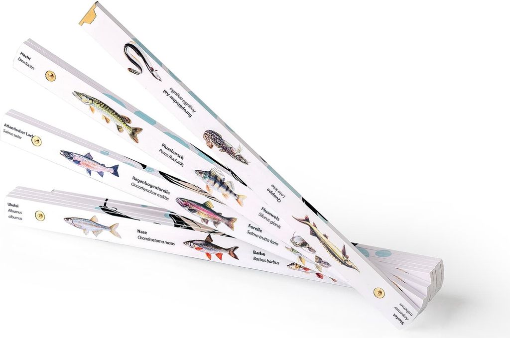 Metrie Zollstock 2m Block 52, mit Fotodruck 30 Süßwasserfische, Geschenk für Angler