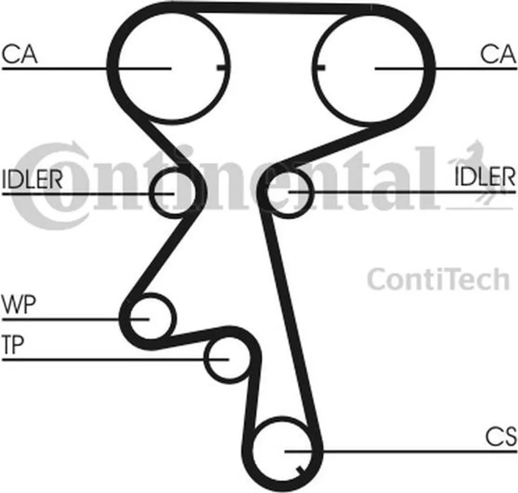 Contitech CT873WP4 Kit Courroie Distribution avec Pompe à Eau Complet