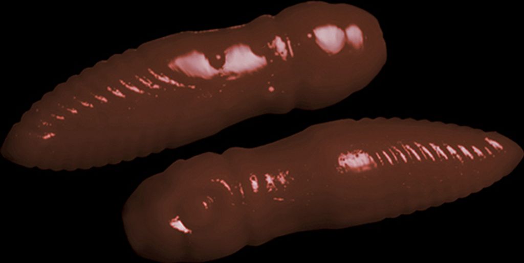 Trout Baits Jara Lury 35 Garlic 712