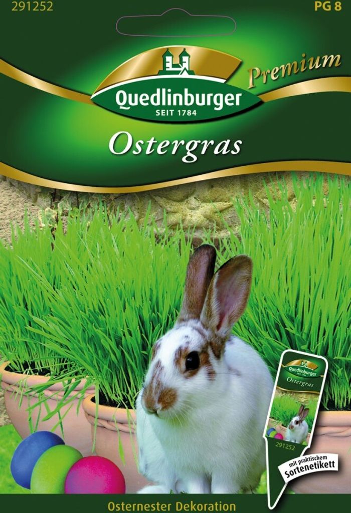 Ostergras | Ostergrassamen von Quedlinburger Saatgut