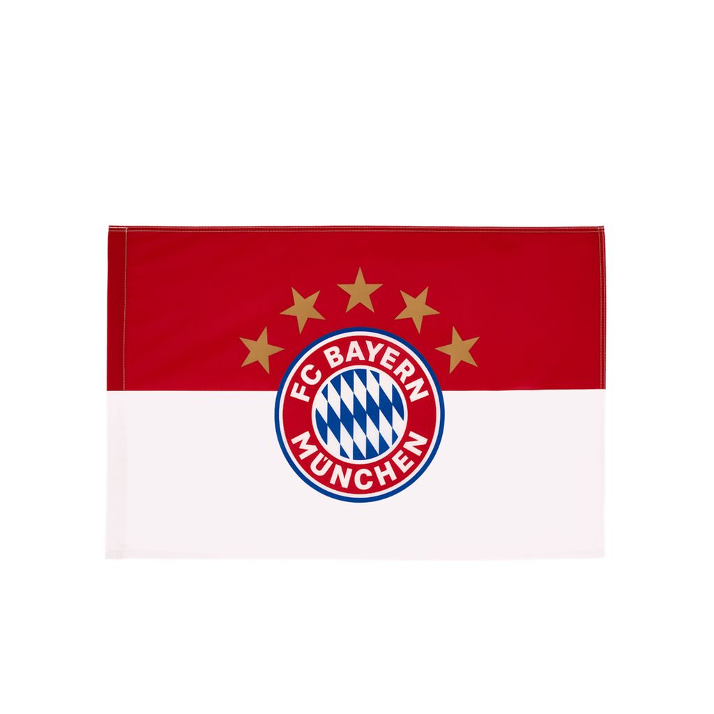 Fahne Bayern mit Staatswappen 90x150cm