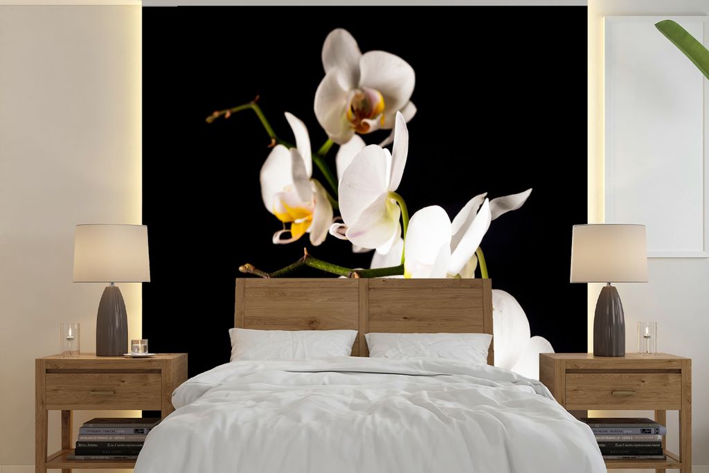 MuchoWow Fototapete für Wohnzimmer oder Schlafzimmer Wandtapete Vinyl Motivtapete Orchidee - Blumen - Pflanzen - Botanisch - 350x350 cm - Schlaf...